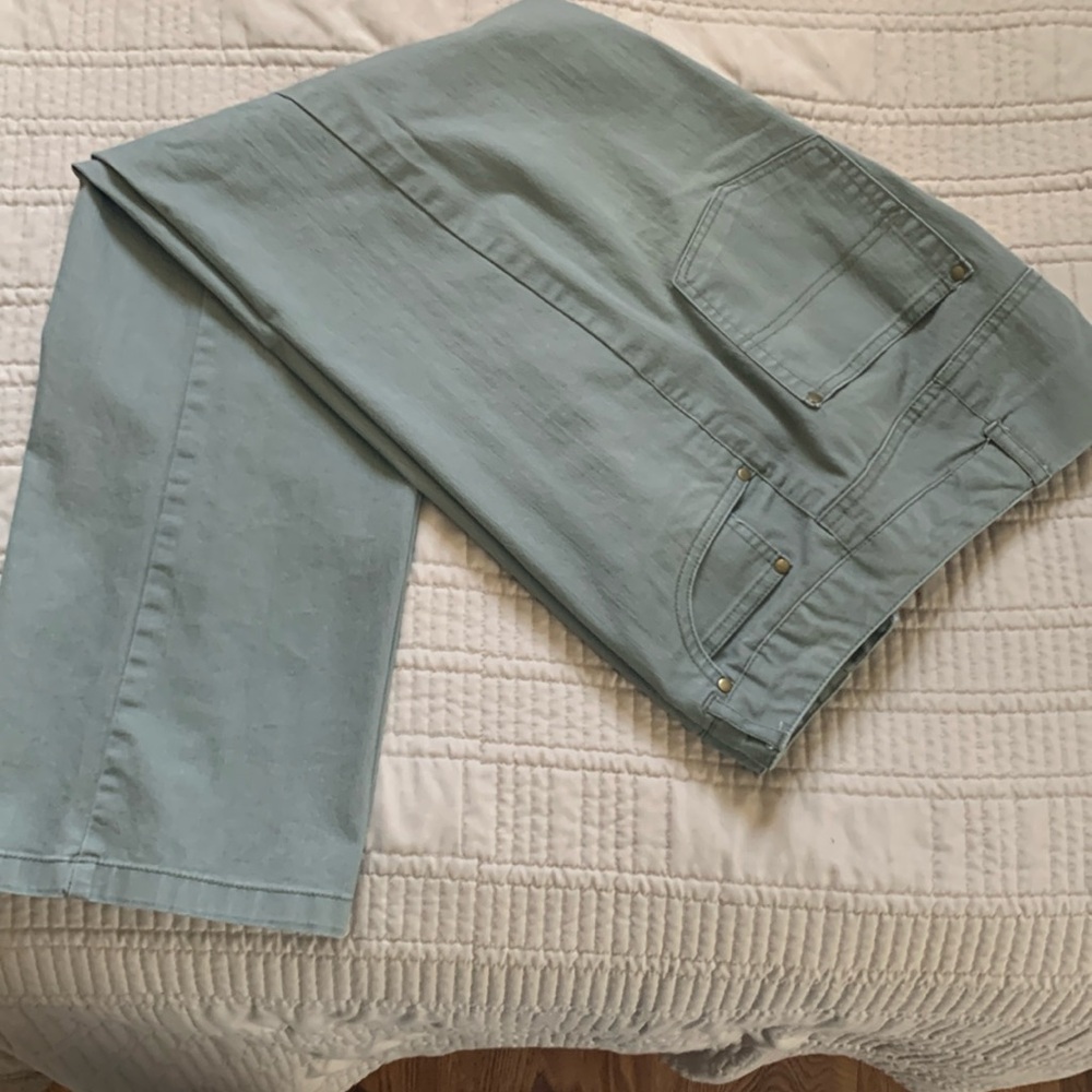 TanJay pants size 10P